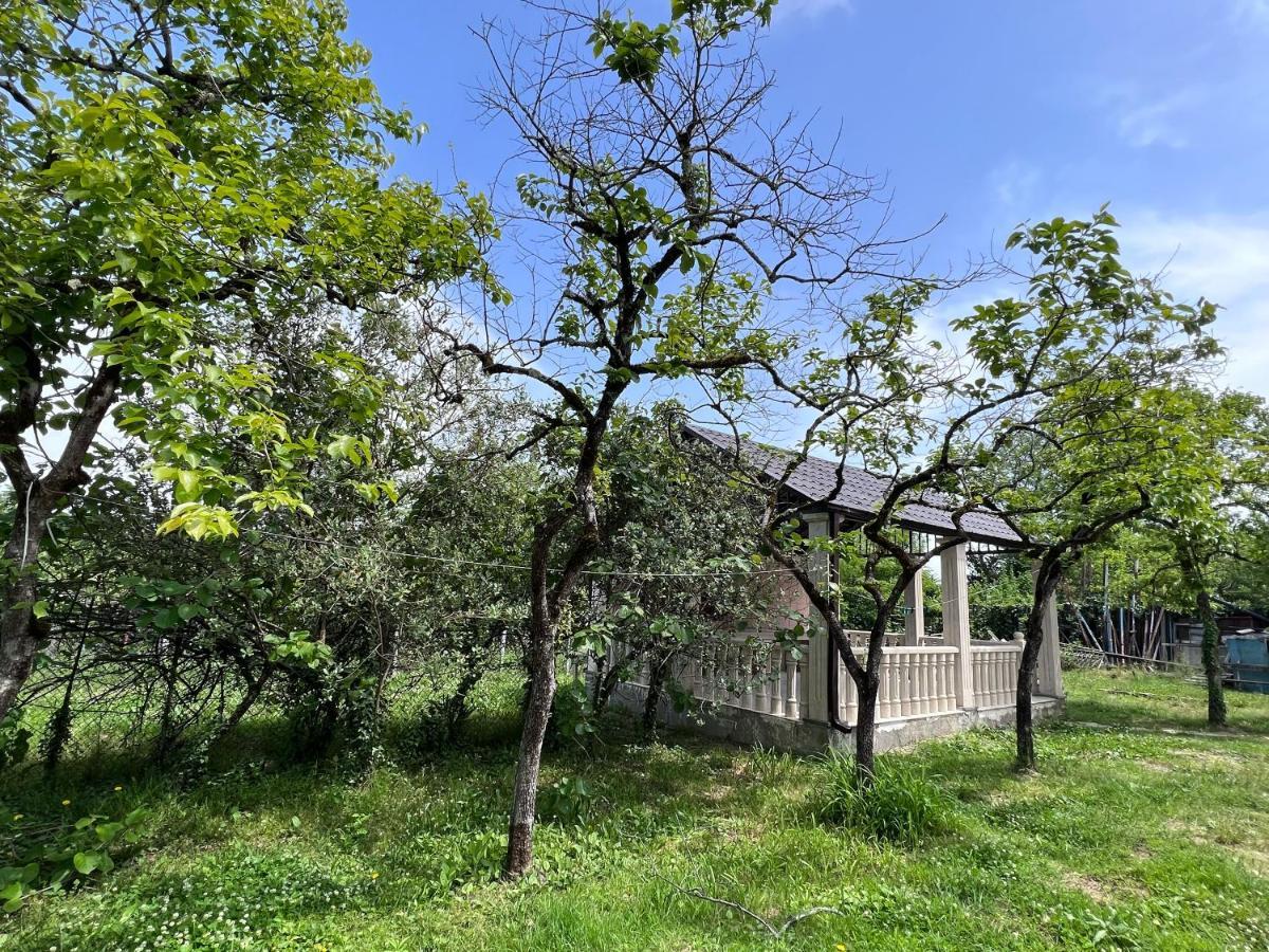 Gardenia Daire Tskaltubo Dış mekan fotoğraf